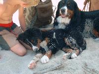 Mein Schwesterchen Bessy und ich